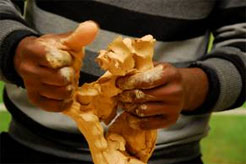 Un participant s'essayant à la terre glaise