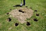 [Im]mobil'art (2008-2009)